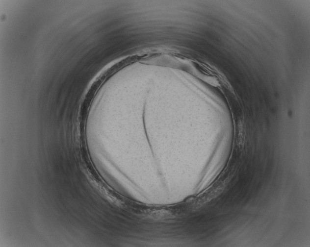 X0000087400784200705181331