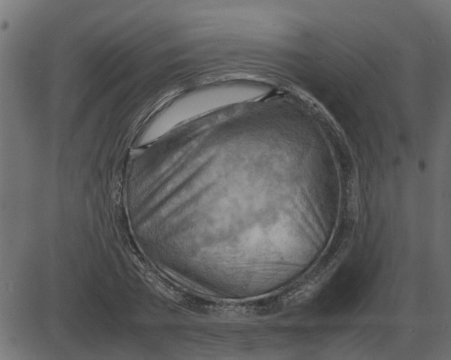 X0000087400785200705181331