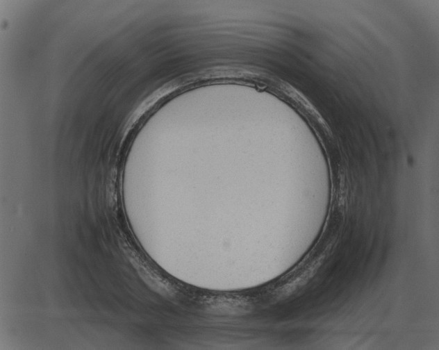 X0000087400786200705181331