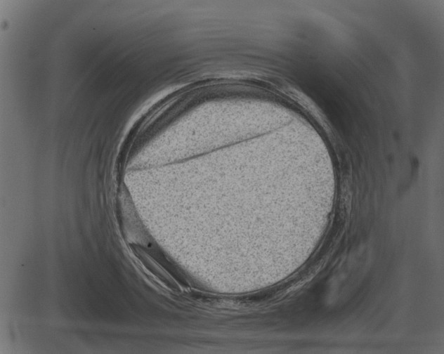 X0000087400787200705181331