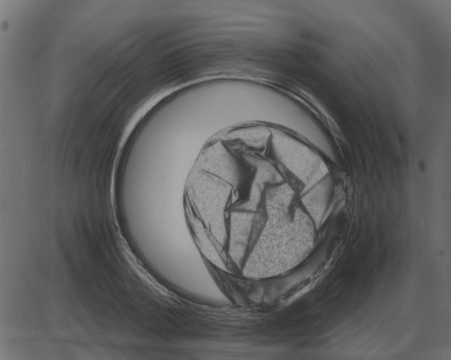 X0000087400788200705181331