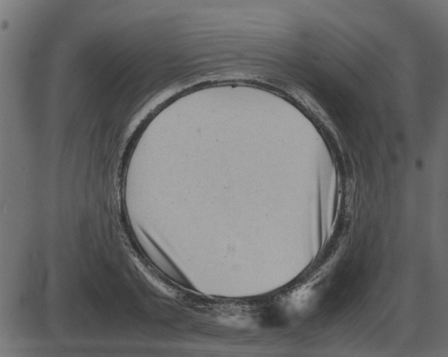 X0000087400789200705181331