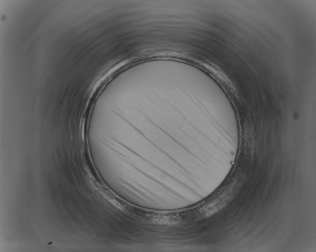 X0000087400790200705181331