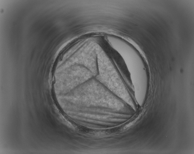 X0000087400791200705181331