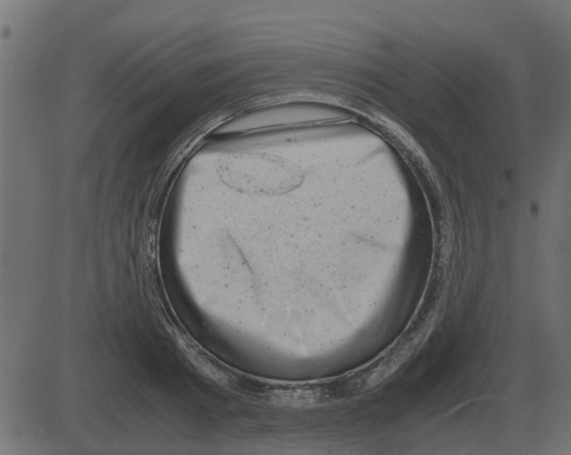 X0000087400793200705181331