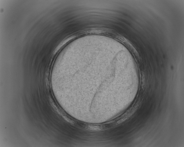 X0000087400794200705181331