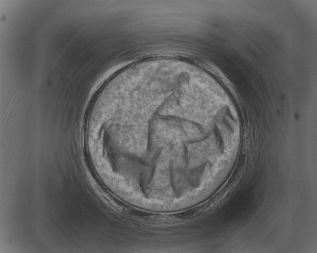 X0000087400795200705181331