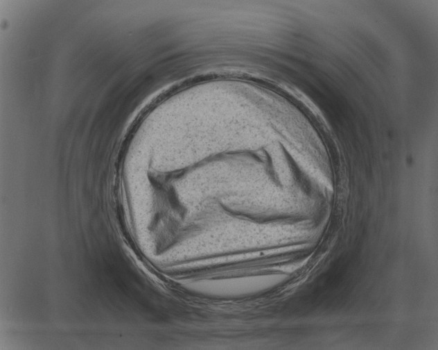 X0000087400799200705181331