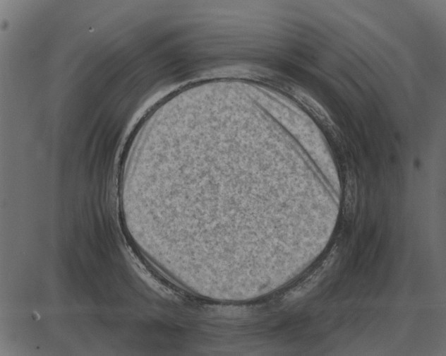 X0000087400800200705181331