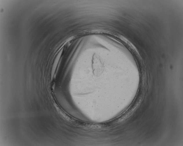 X0000087400801200705181331