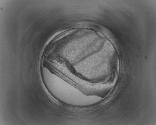 X0000087400803200705181331