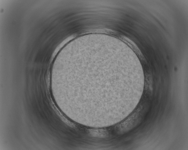 X0000087400804200705181331