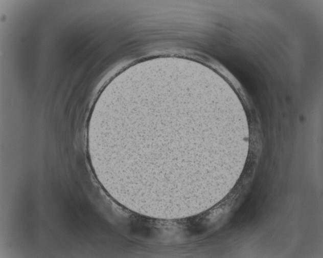 X0000087400807200705181331