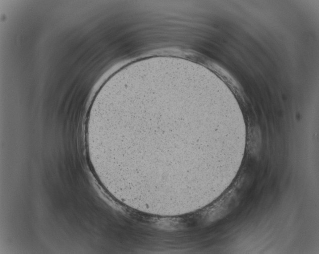 X0000087400808200705181331