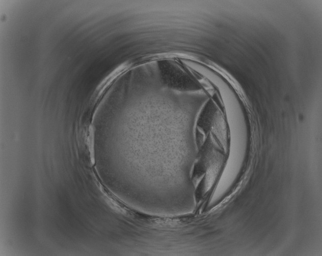 X0000087400809200705181331