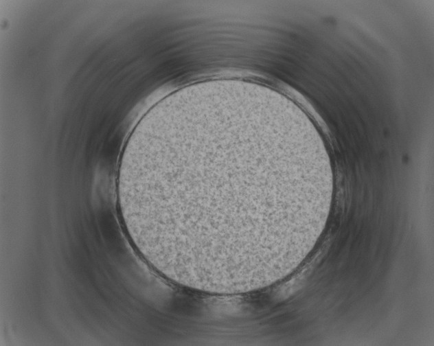 X0000087400810200705181331