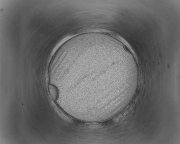 X0000087400811200705181331