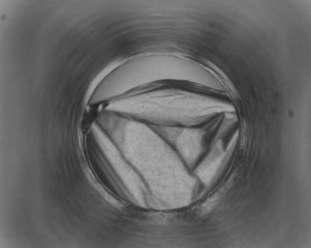 X0000087400812200705181331