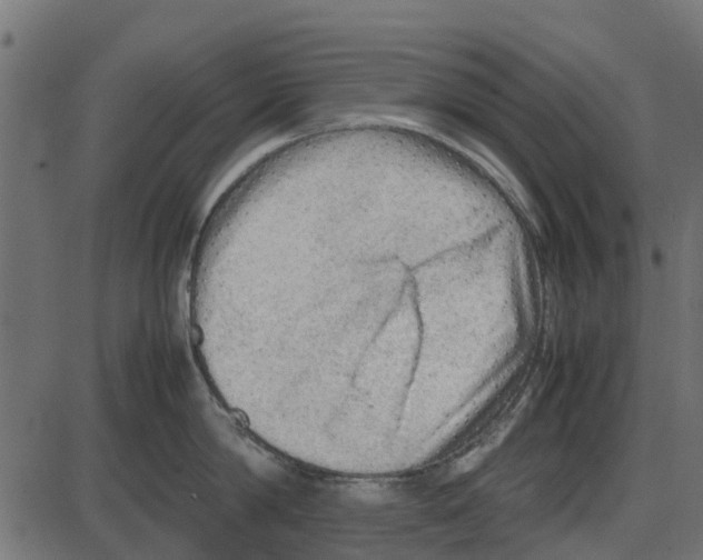 X0000087400814200705181331