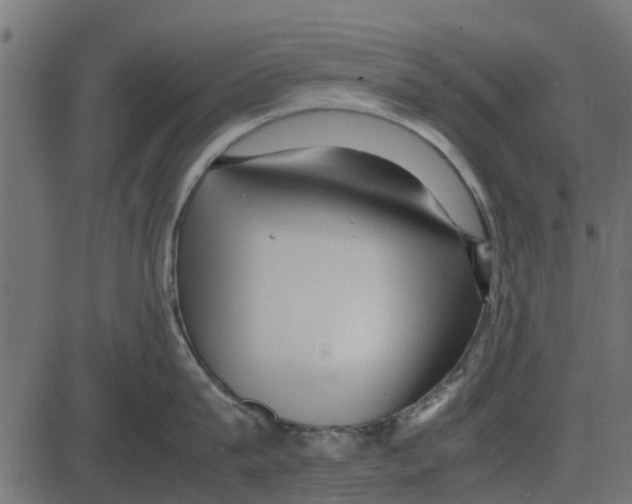 X0000087400815200705181331