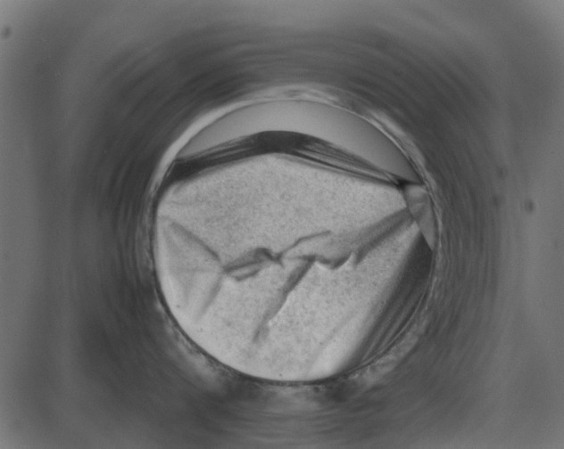 X0000087400816200705181331