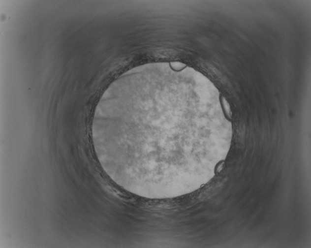 X0000087400817200705181330