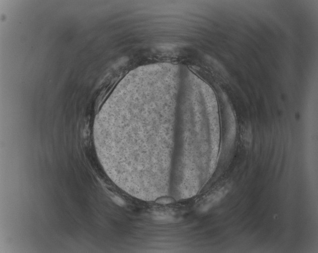 X0000087400818200705181330