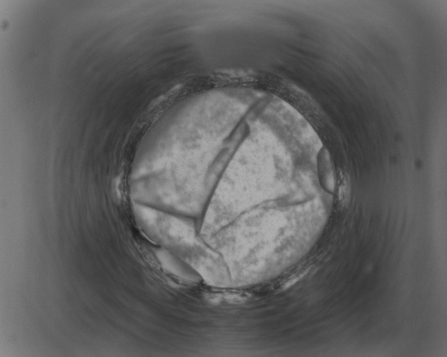 X0000087400819200705181330