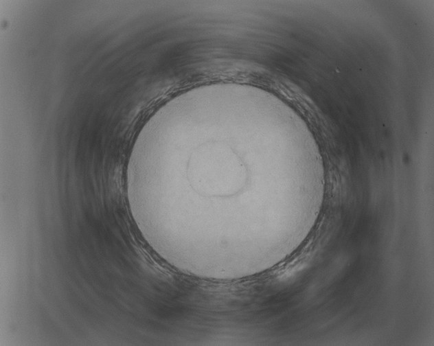 X0000087400820200705181330