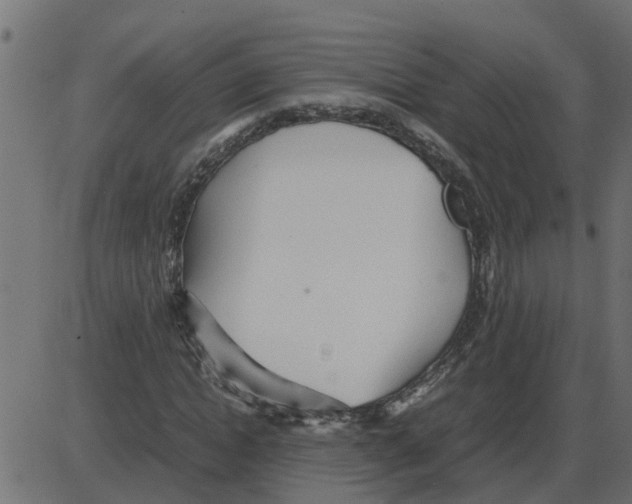 X0000087400822200705181330