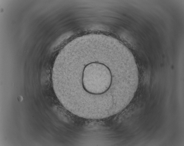 X0000087400824200705181330