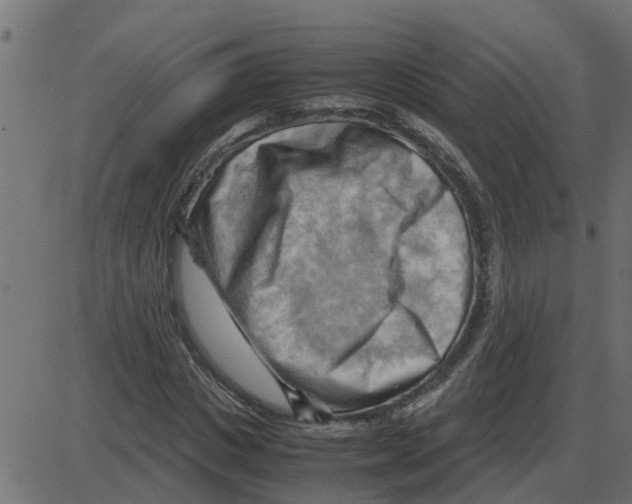 X0000087400825200705181330