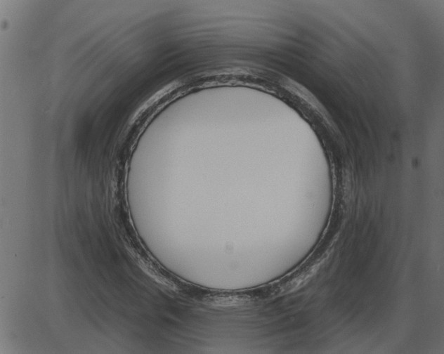 X0000087400826200705181330