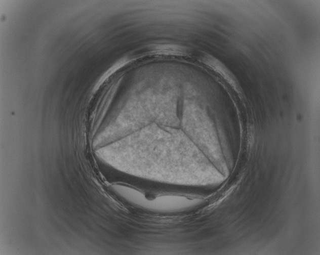 X0000087400829200705181330