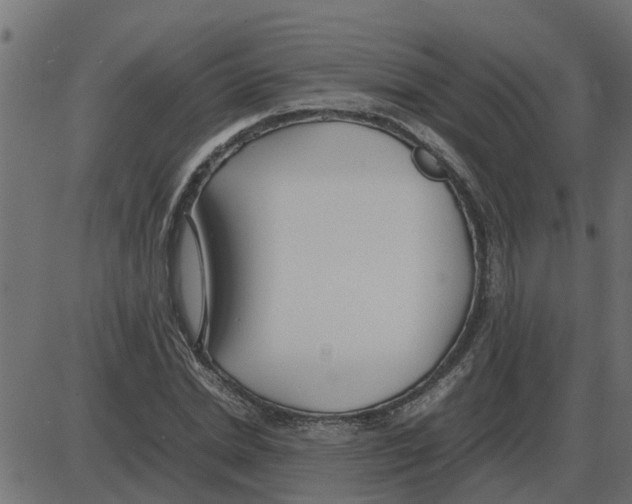 X0000087400830200705181330