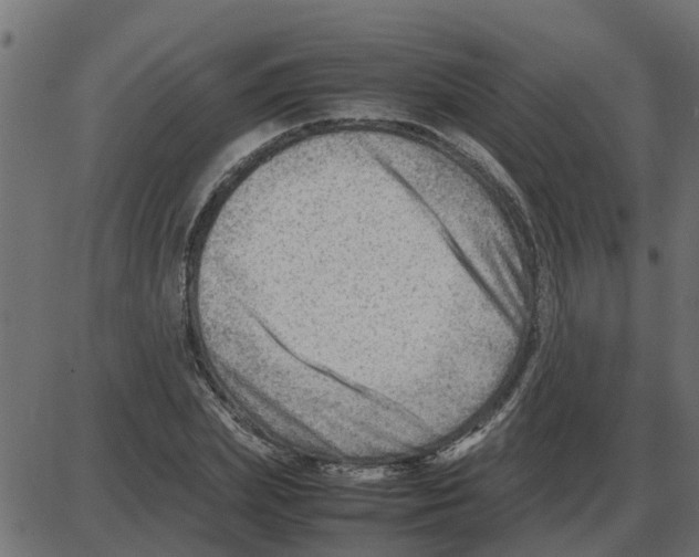 X0000087400831200705181330