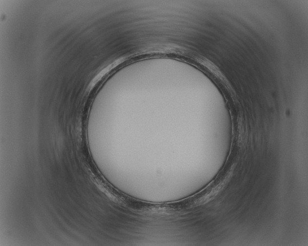 X0000087400834200705181330