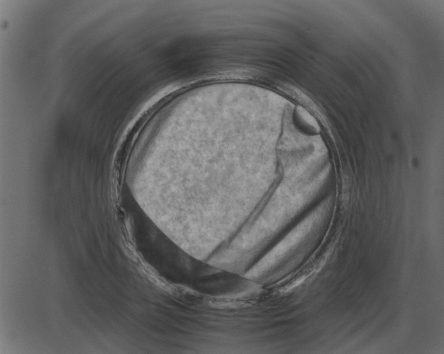 X0000087400835200705181330