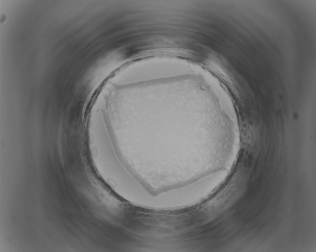 X0000087400836200705181330