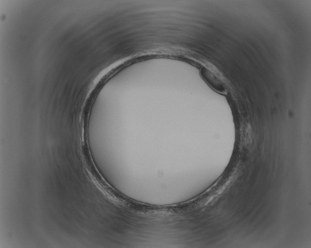 X0000087400838200705181330