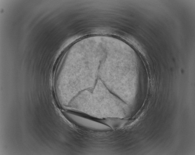 X0000087400839200705181330