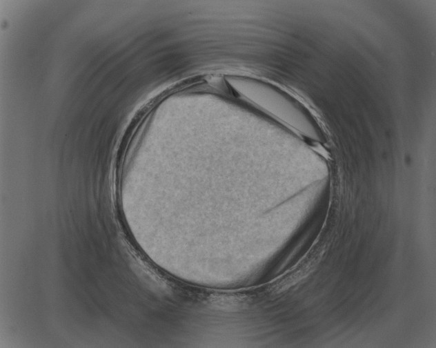 X0000087400840200705181330