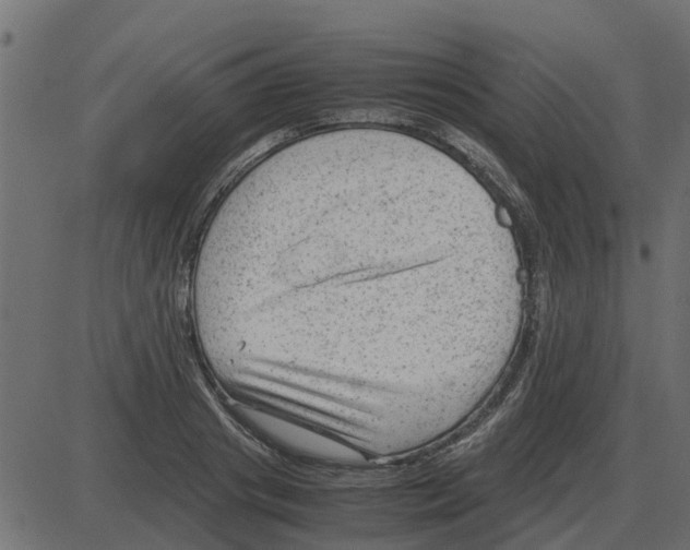 X0000087400841200705181330