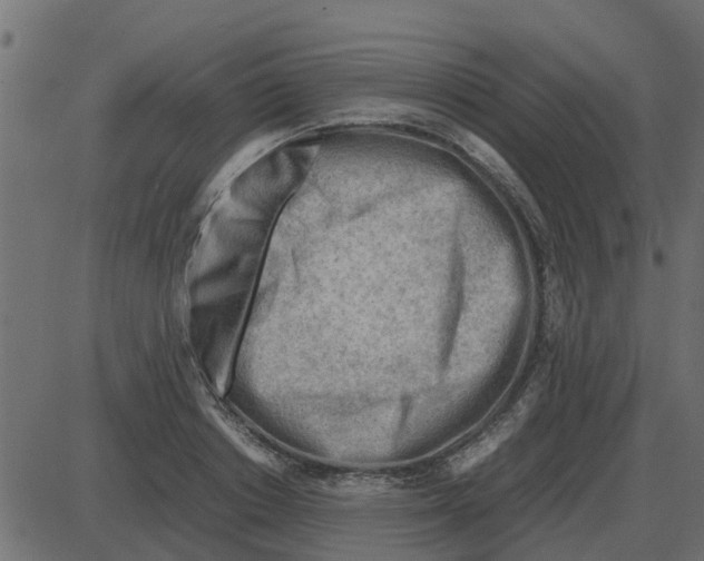 X0000087400842200705181330