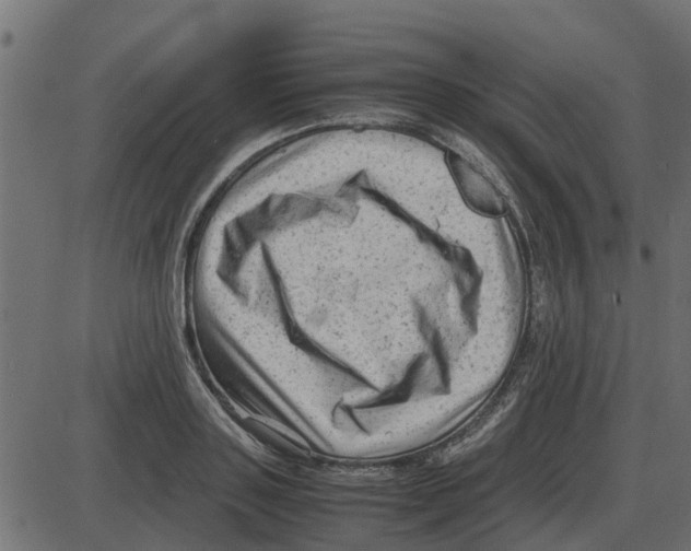 X0000087400843200705181330