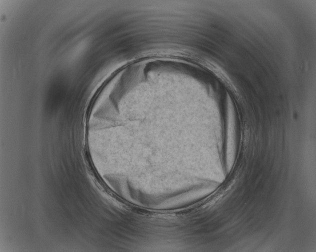 X0000087400844200705181330