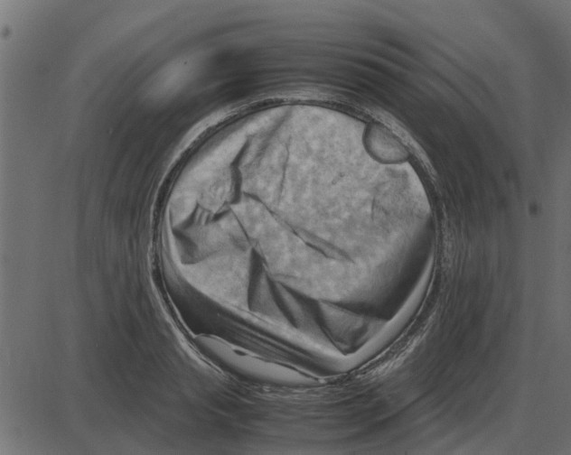 X0000087400845200705181330