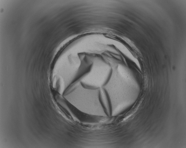 X0000087400846200705181330