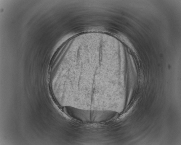 X0000087400847200705181330