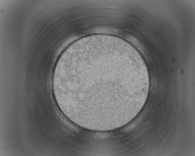 X0000087400848200705181330